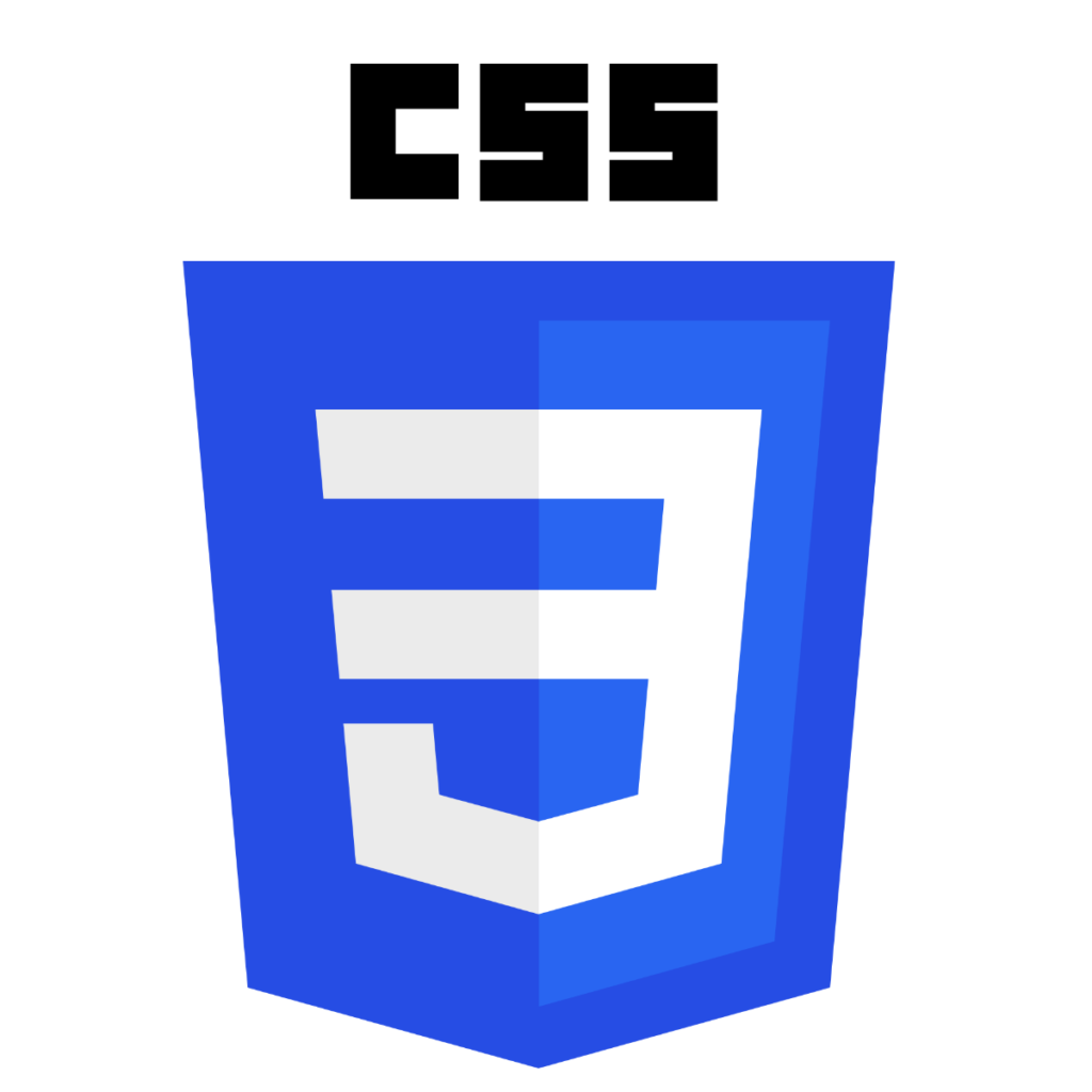 CSS Logo