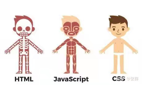 HTML JavaScript CSS